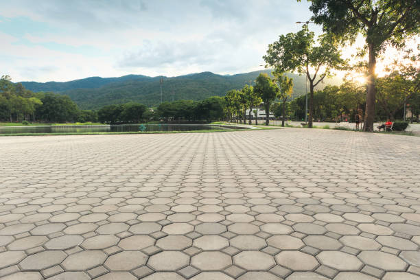 Trusted Leadville North, CO Driveway Pavers Experts